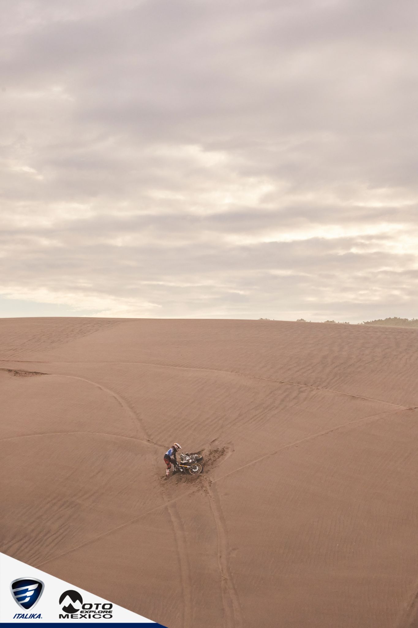 ITALIKA CHACHALACAS D2 439